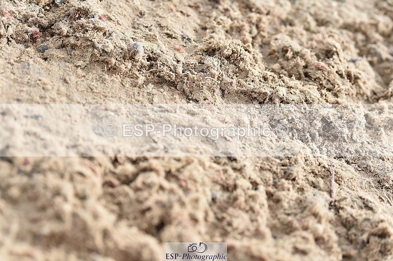 231013A-105240-01408 - Cls 1 85cm Amateur Quali