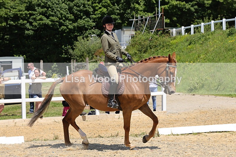 1X9A1809 - Class 12: Ridden Riding Horse/Hack