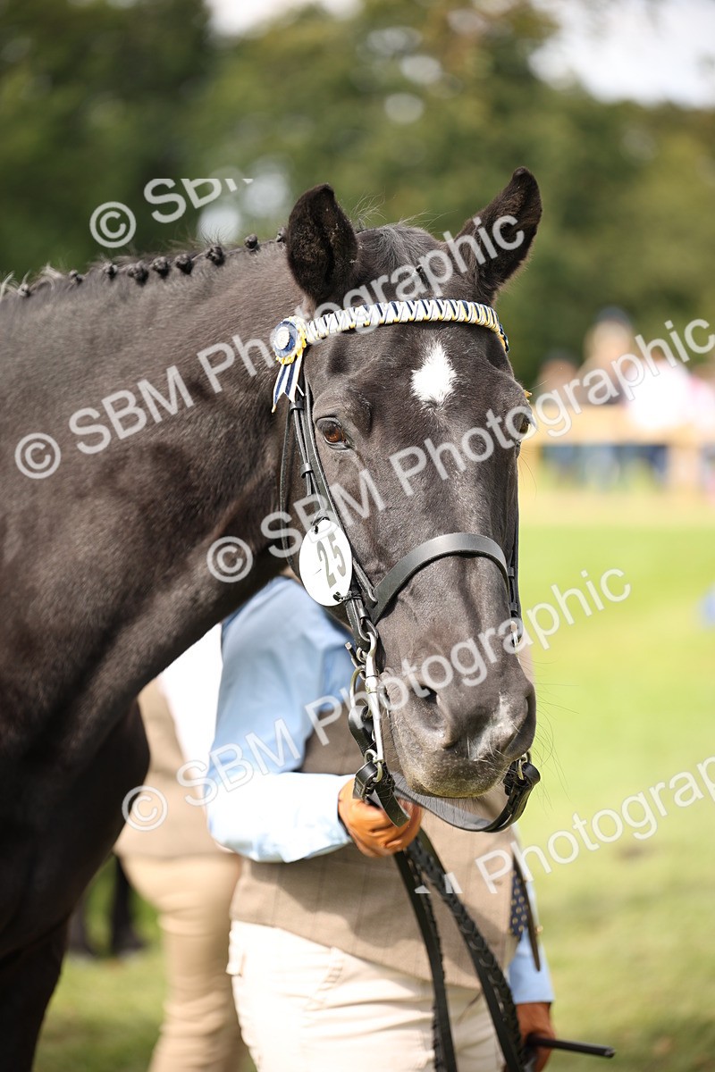 SBM_46363 - S25 - Mature Veteran In Hand