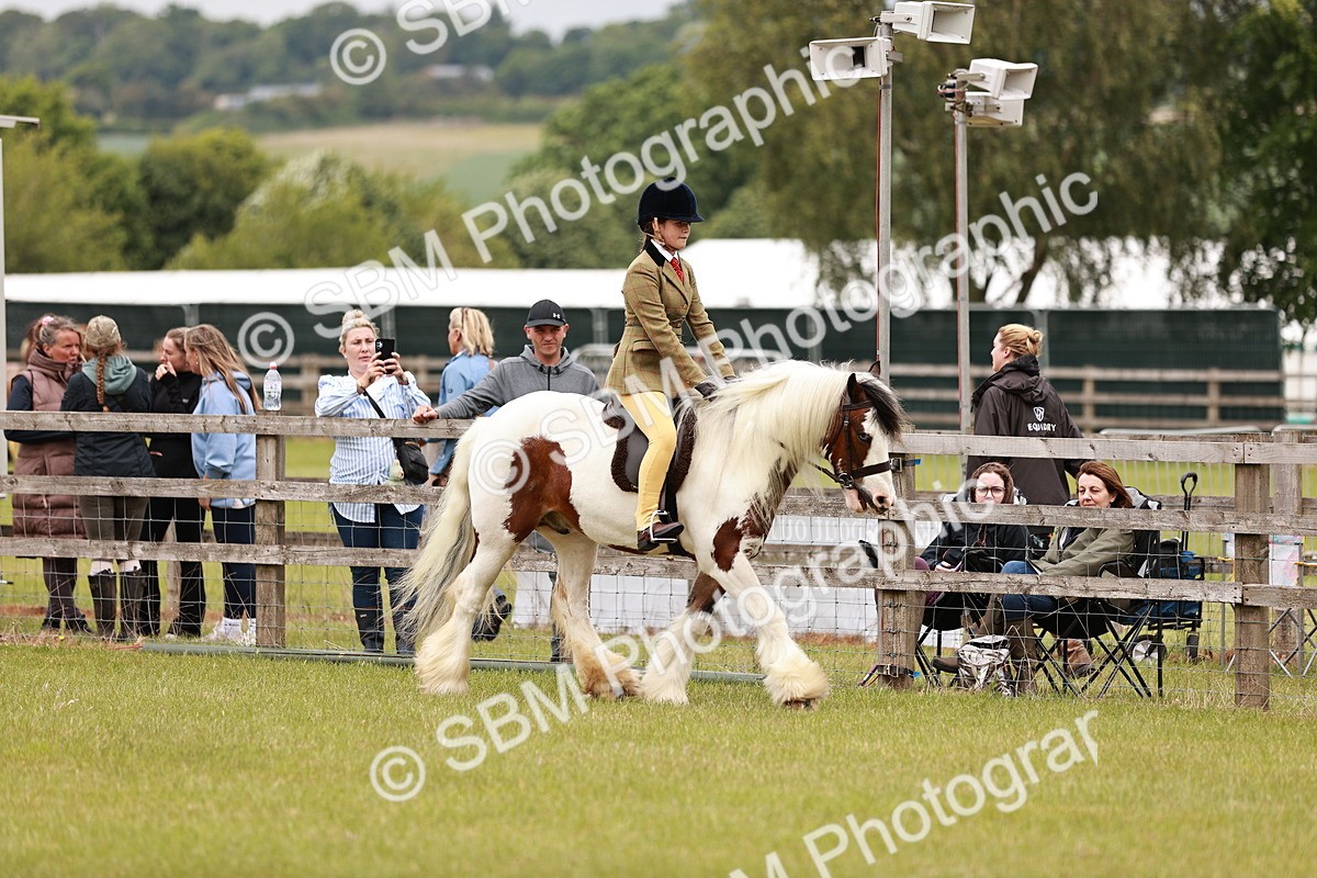 SBM_06195 - Class 39-41 TGCA In Hand and Ridden