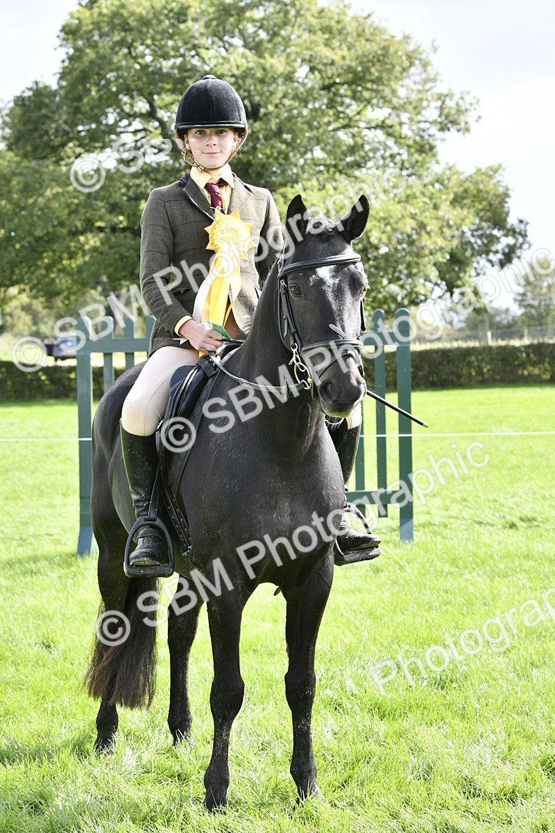 SBM_41654 - S32 - Mountain & Moorland Working Hunter Pony