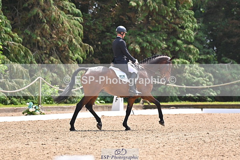 250523A-134230-07076 - B-355-Andrew.James-PRIMITIVE.PROPOSITION