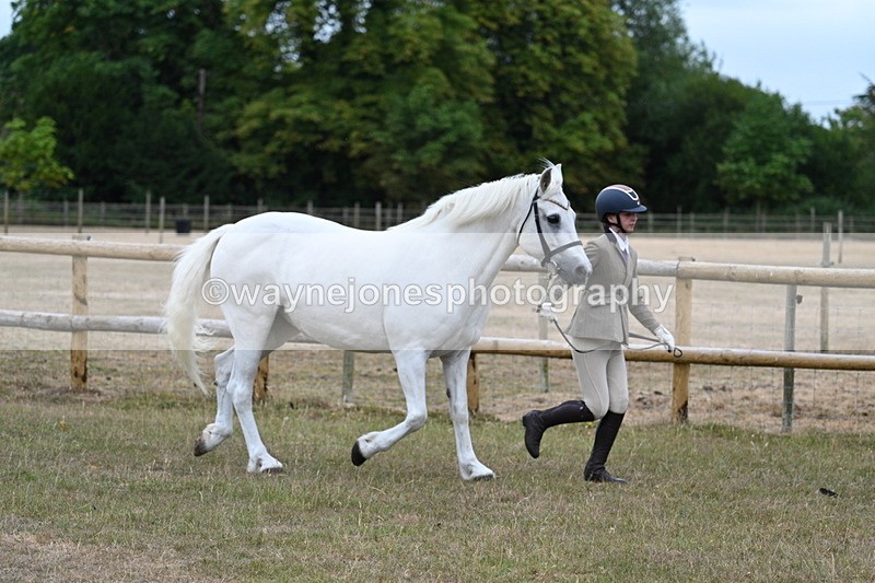 WJ7_8745 - Class 4a Prettiest Mare 14.2hh and over