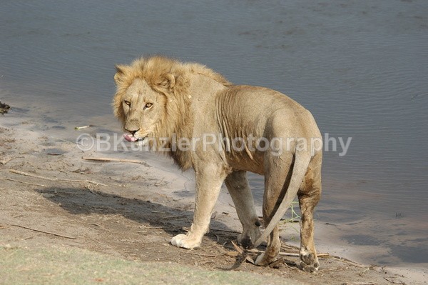  - Africa