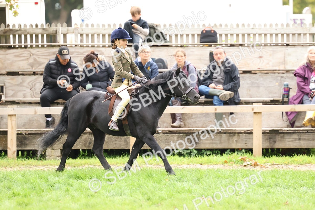 SBM_67465 - S61 - Mountain & Moorland Ridden