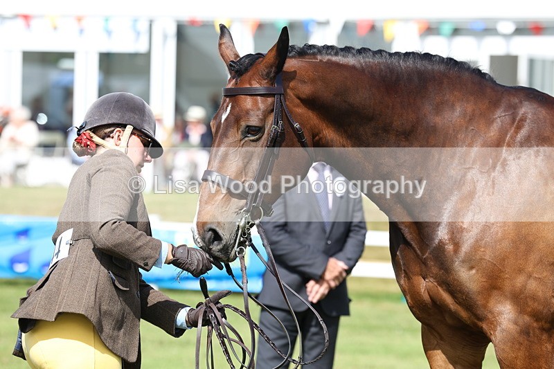 3E7A9539 - Class 4: Rising Star M/H Hunter