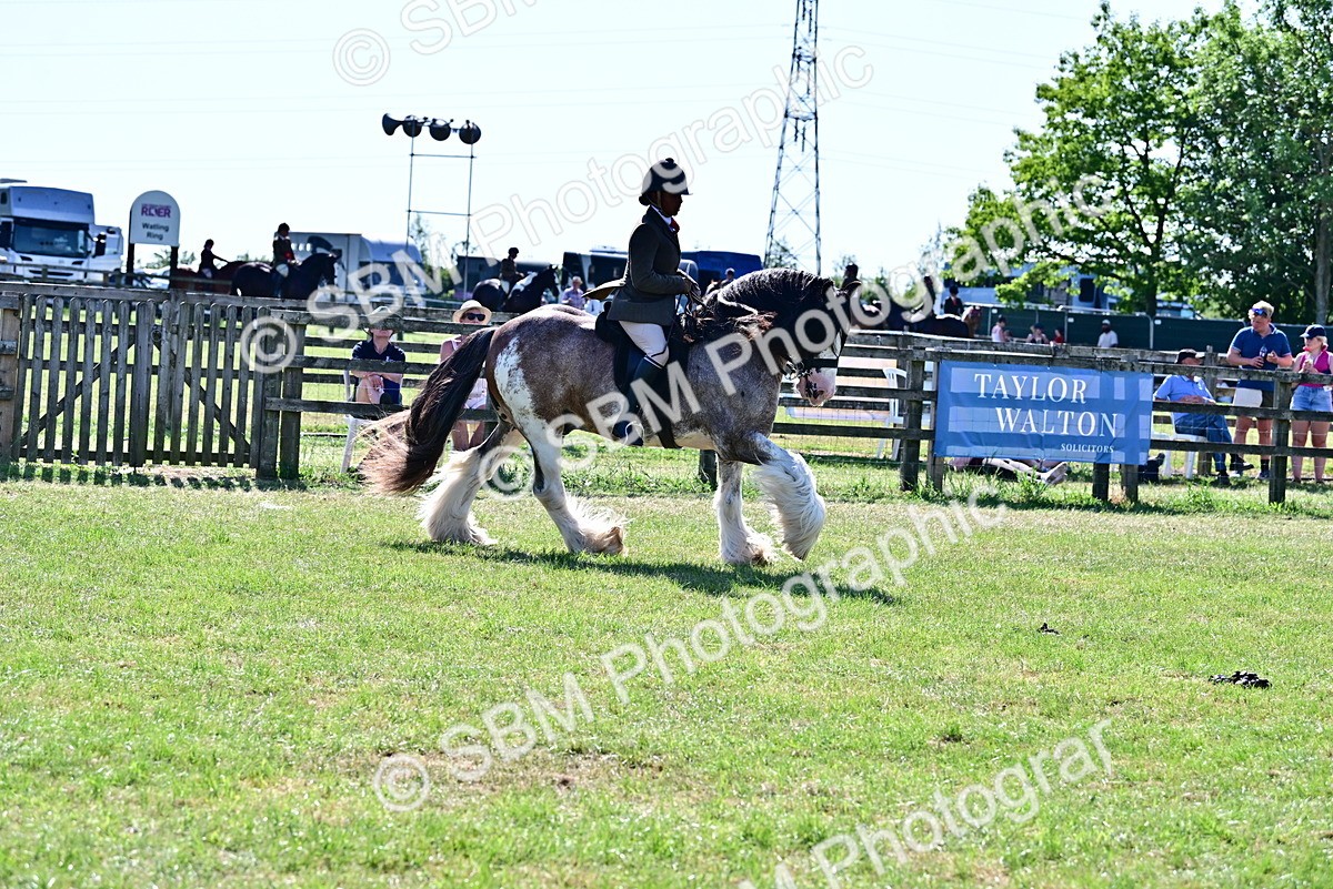 SBM_19431 - Class 101-102 - BSPS LIHS Performance Coloured Horse/Pony