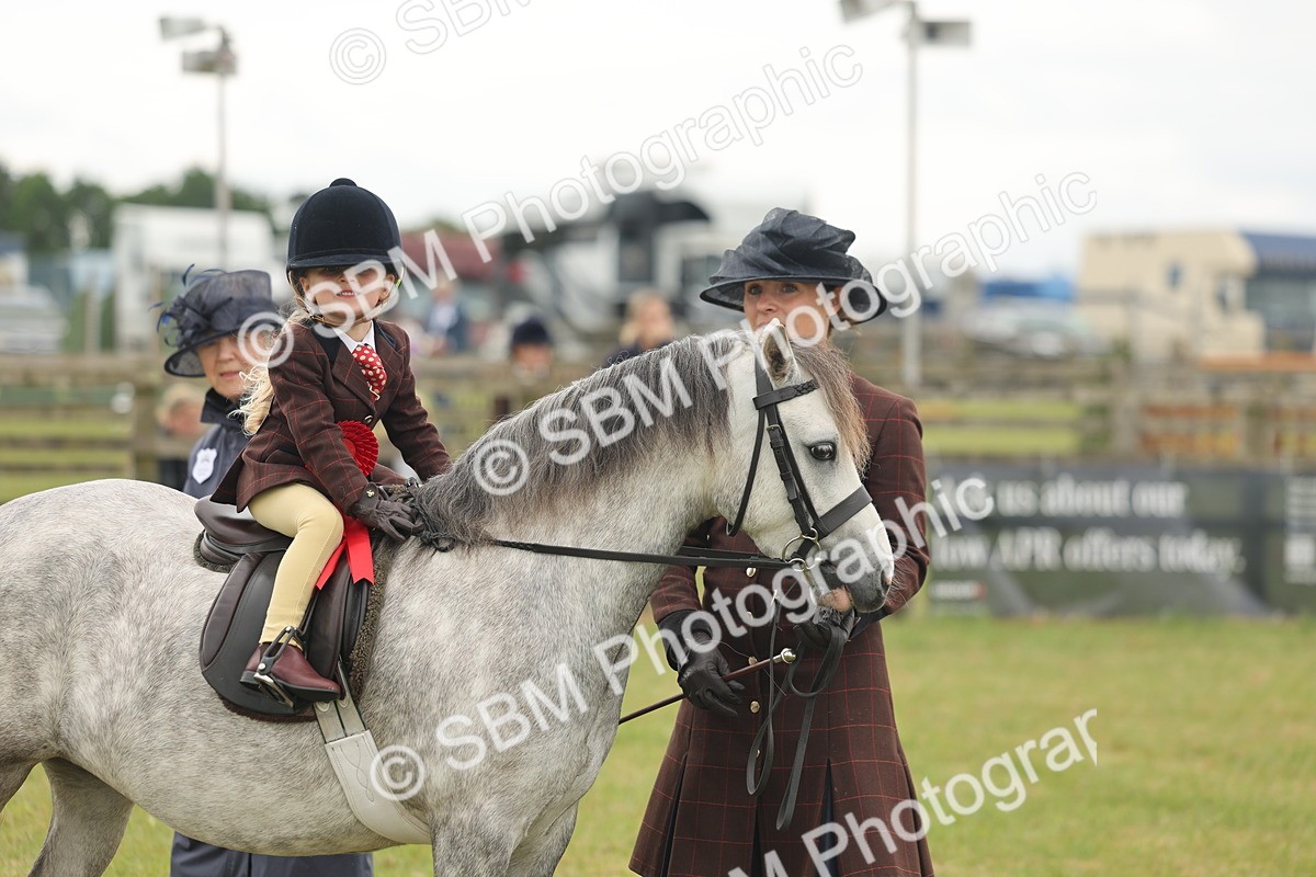 SBM_06799 - Class 74-75 - M&M Lead Rein and First Ridden Pony