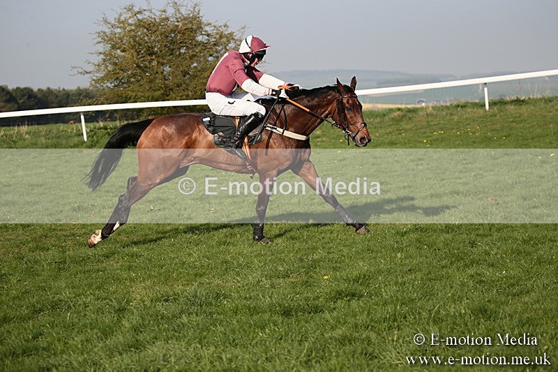 PtP 210418 645 - South & West Wilts Point-to-Point Larkhill 21/04/18