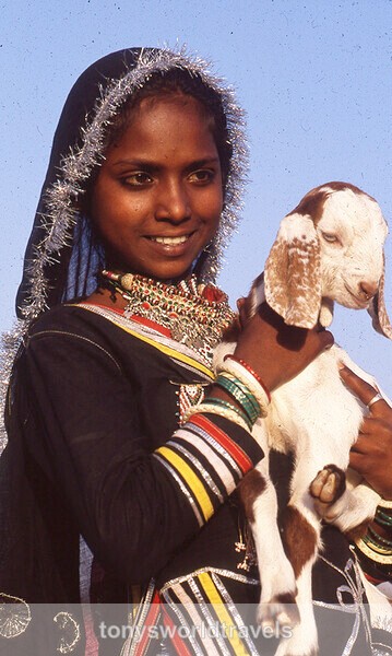 Young smiling girl with baby lamb,India - Children