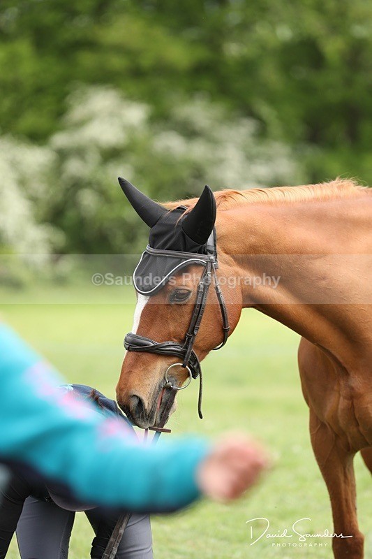 DSP29752 - Venue & Vetting