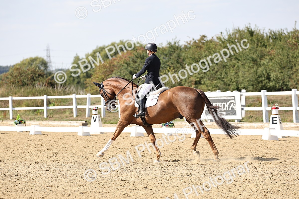 SBM_014934 - Class 7 - Medium 3