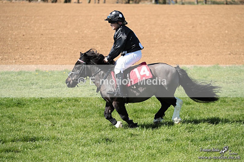 Shet 060426 335 - Shetland Pony Racing Paxford Races Easter Mon 06/04/26