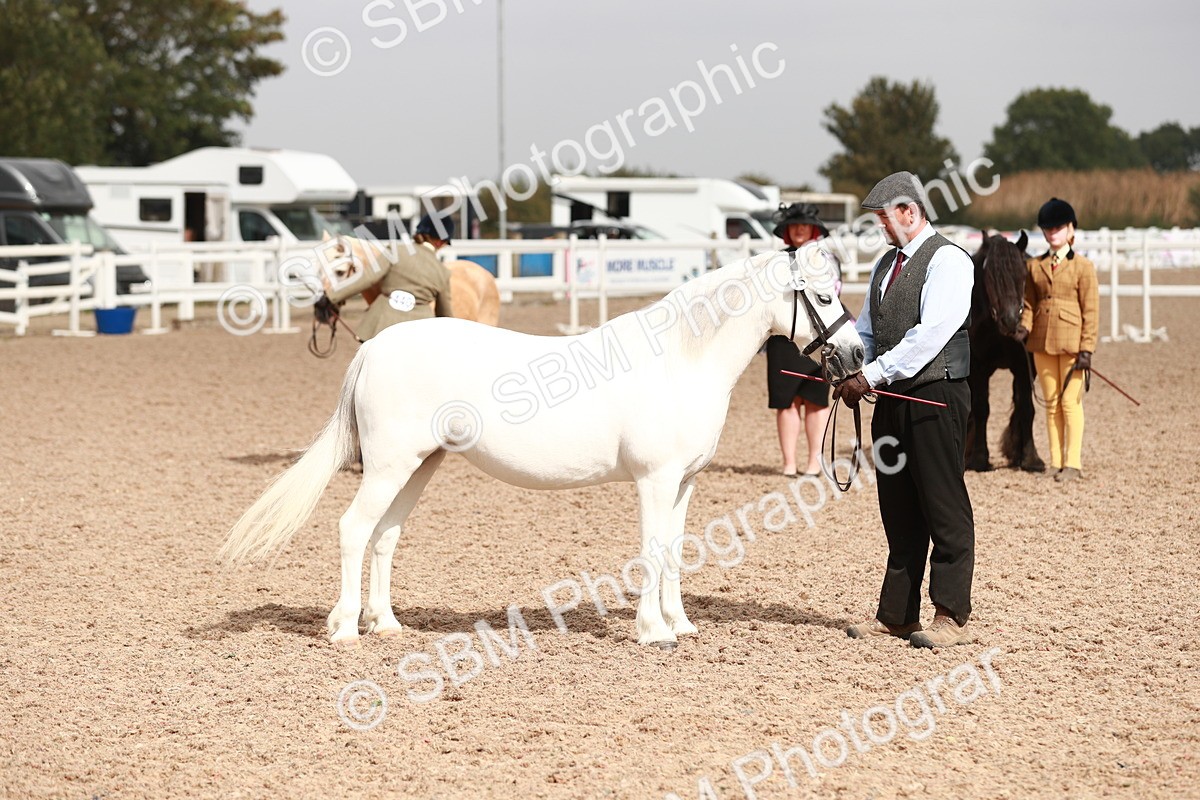 SBM_12489 - Class 207 IH M&M