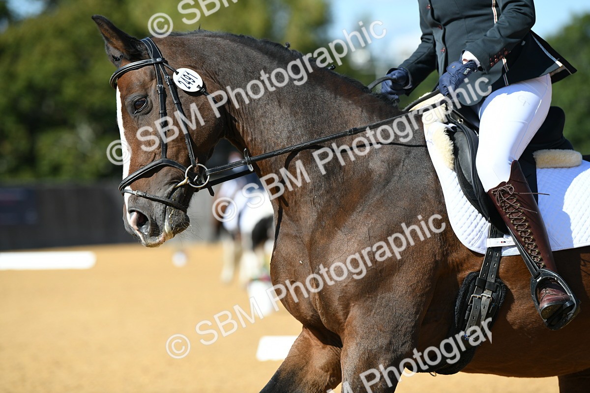SBM_24949 - D13 - Grand Tour Championship - Prelim 12