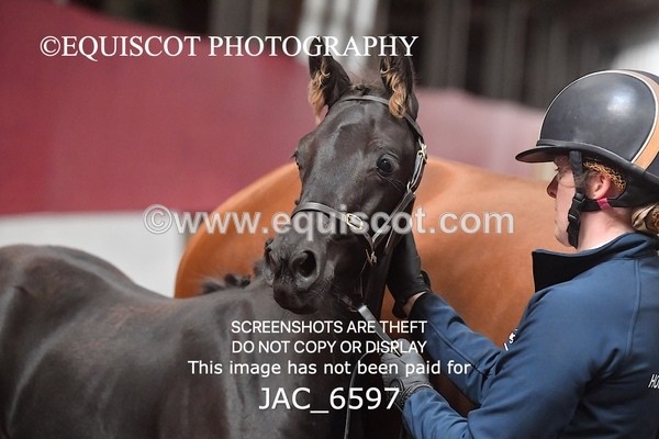 JAC_6597 - 20 Wellington KL