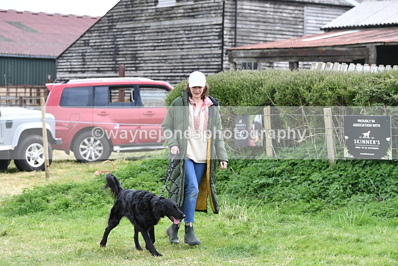 WJ5_9172 - Class 1 Best Cross Breed / Heniz 57