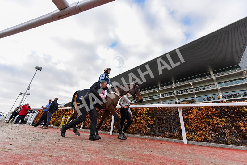 151124-Race 3-Edwardstone-8936 - Race 3