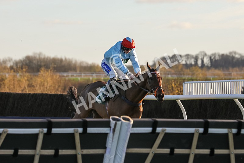 241123-Race 5-Bugise Seagull-1232 - Race 5