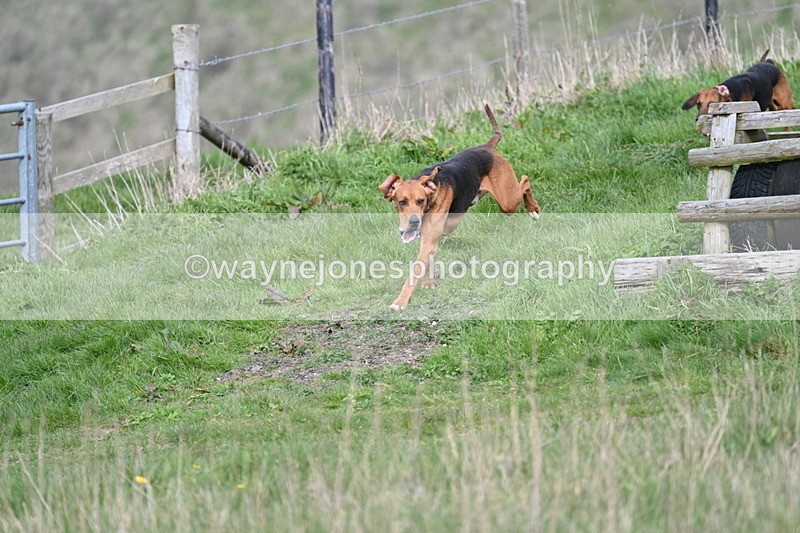 WJ7_8028 - Line 2 A camera