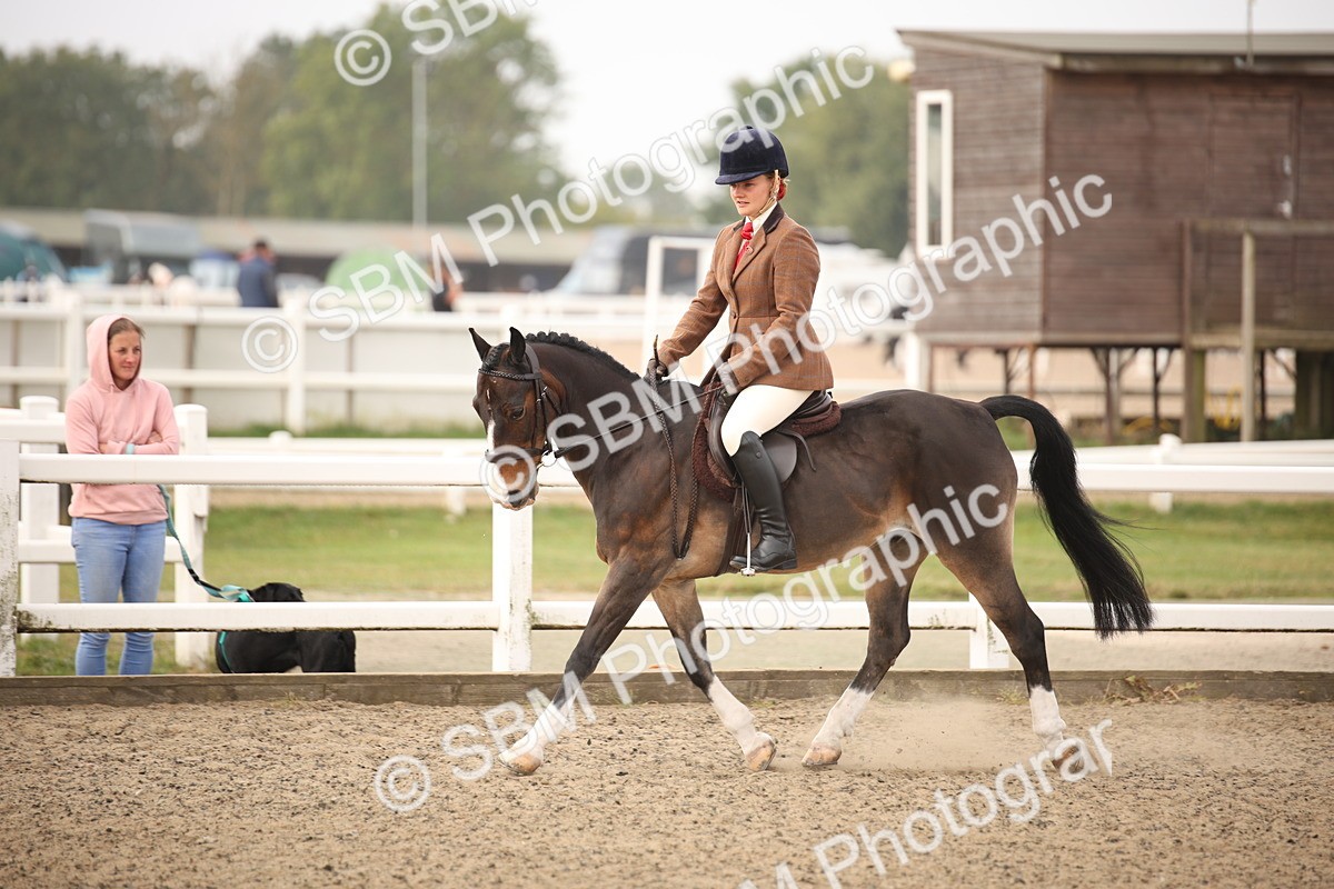SBM_09795 - Class 401 Riding Club Pony