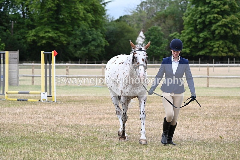 WJ6_4295 - Class 10 Coloured In-hand