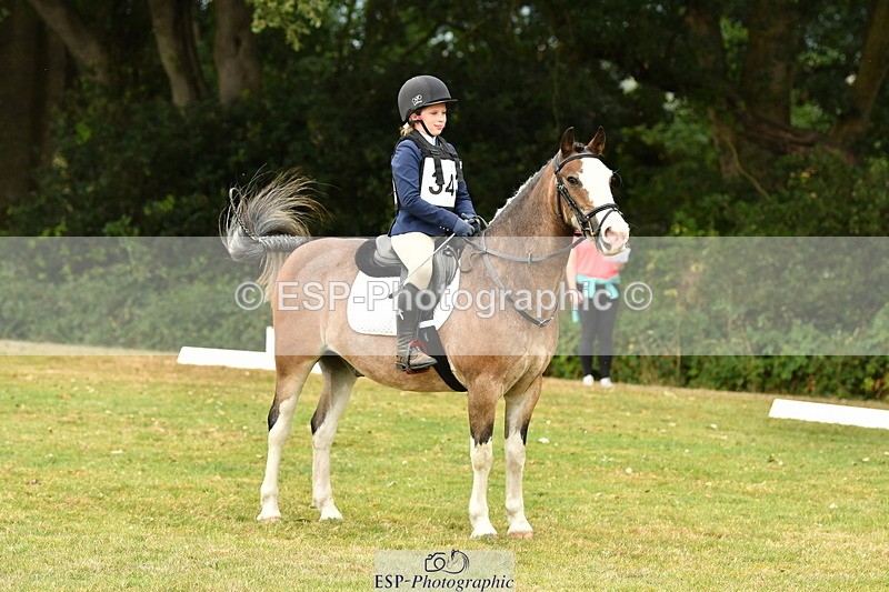 ZZZDeleted250820A-123917-05639_12 to 1300 - 077-332-2719