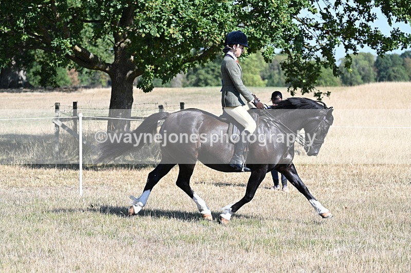 WJ7_3721 - Class 9 Mountain & Moorland Ridden