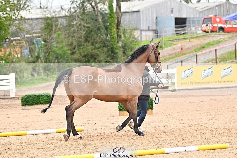 250423-162530-02144 - 4pm to 5pm