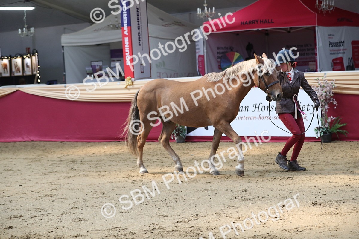 SBM_04515 - Class 7R Regional - IH Diamond