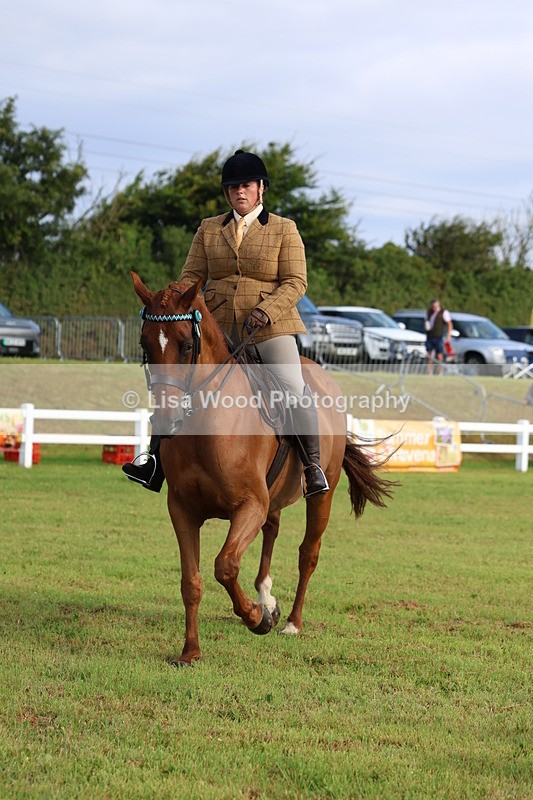 3E7A8229 - Class 2: Rising Star Large Hack/Riding Horse