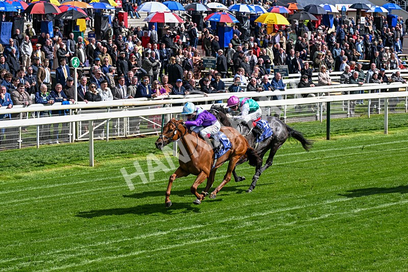 140526-Race 4-See The Fire-0205 - Race 4 3.30pm Al Basti Equiworld Dubai Middleton Fillies' Stakes