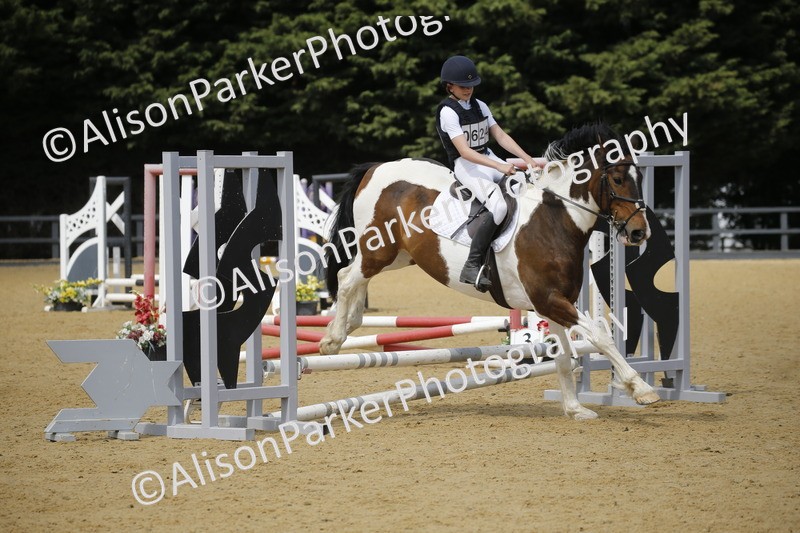 20250622-3887 - 50cm