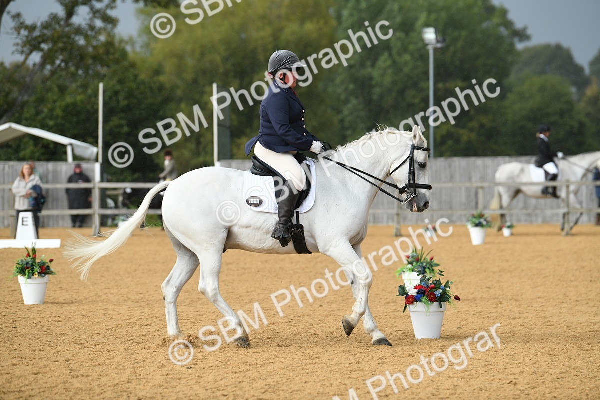 SBM_11128 - D28 Elementary Taster Elementary 42