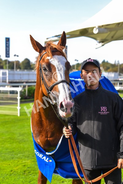 141023-Race 2-Whiskey Pete-0833 - Race 2 1.50pm Play Coral 'Racing-Super-Series' For Free Nursery Handicap