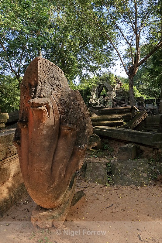 Naga statue at Beng Mealea entrance, Cambodia - Cambodia