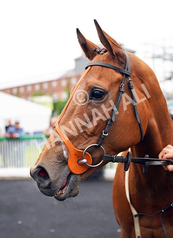 160626-Race 5-Emerald Harmony-9 - Race 5 16.42pm Download The QuinnBet App Handicap