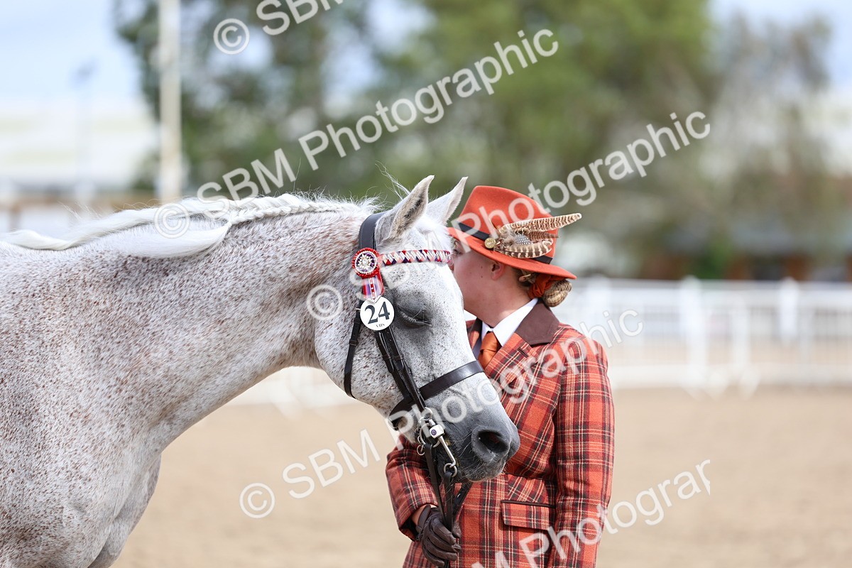 SBM_03987 - Class 25 - IH Foreign Breeds - Pure Bred