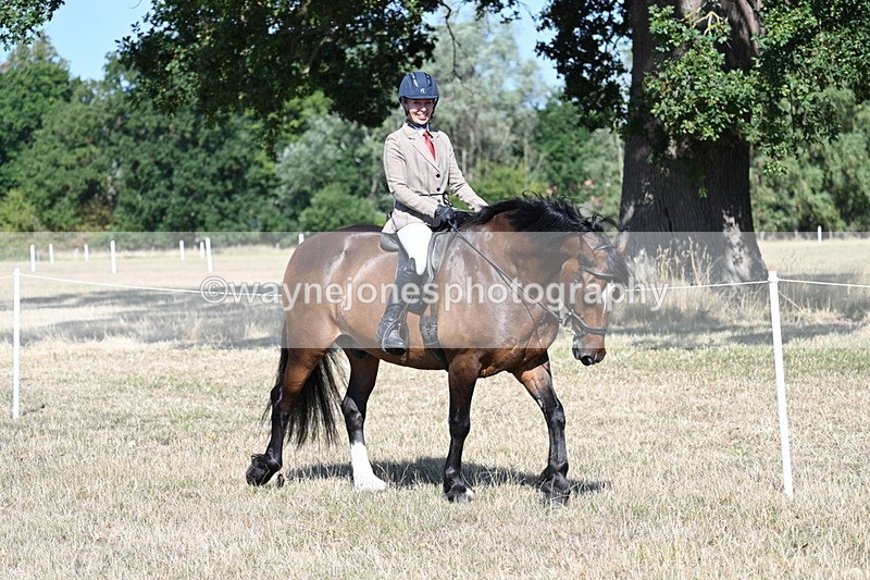 WJ7_3511 - Class 9 Mountain & Moorland Ridden