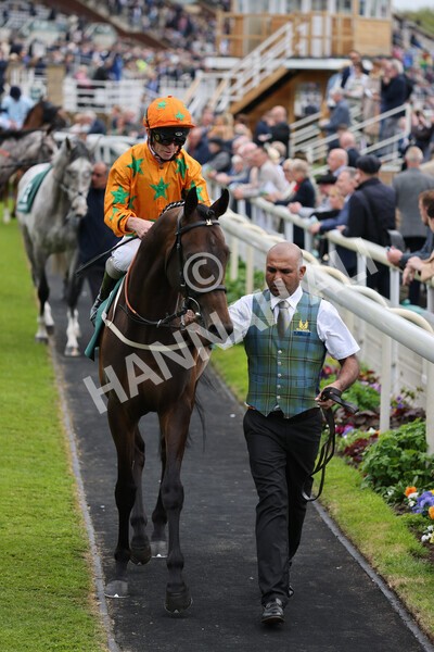 yr13052022r3-15 - Race 3 3.00pm Paddy Power 'I Love Steak' Stakes