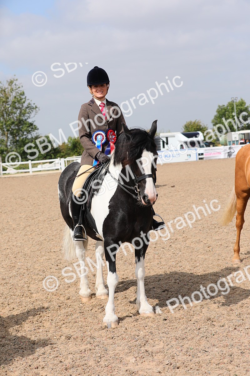 SBM_12855 - Class 307 Ridden Coloured Pony