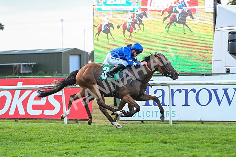 150825-Race 5-Jez Bomb-2996