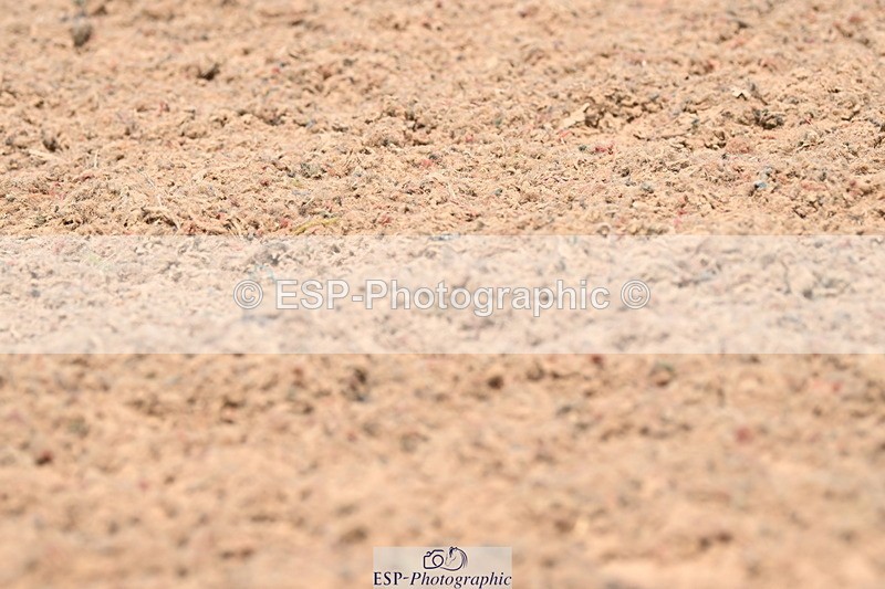 240621A-141212-04233 - Cls 8 BD Elementary 53