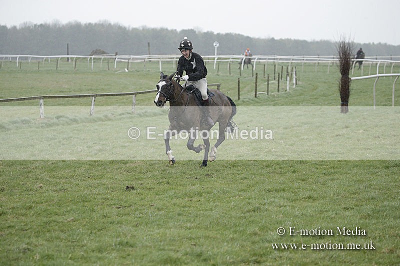 PtP 150320 0049 - New Forest Point-to-Point Larkhill 15/03/20