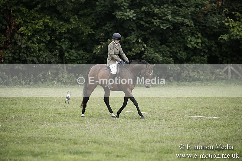 BVR090918 42 - BVRC Dressage and Show Jumping 09/09/18