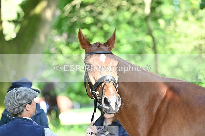 250521A-161814-01049 - C-214-Jeanette.Brakewell-ONE.NIGHT.ONLY