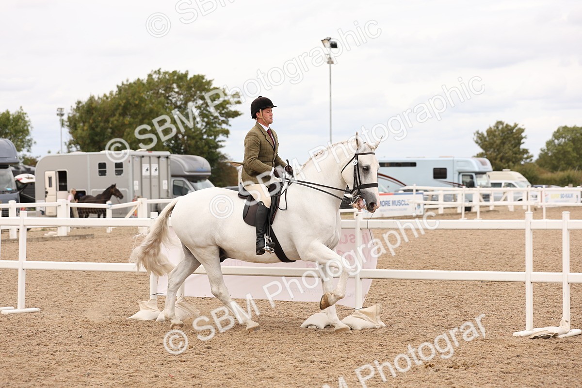 SBM_17202 - Class 213 - Ridden Hunter - Large