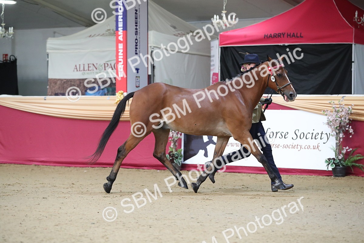 SBM_00213 - Class 1a - Area IH Diamond
