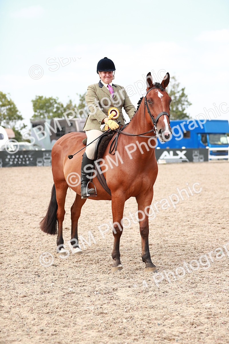 SBM_15551 - Class 213 Ridden Hunter -Large