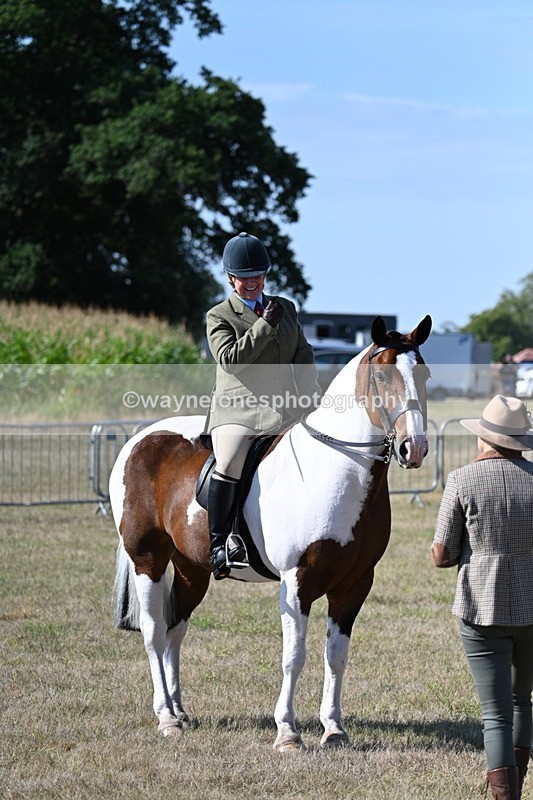 WJ7_3181 - Class 8 Ridden Tack & Turnout